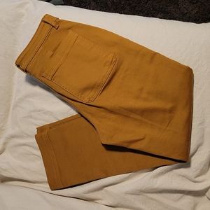 Everlane slim leg crop